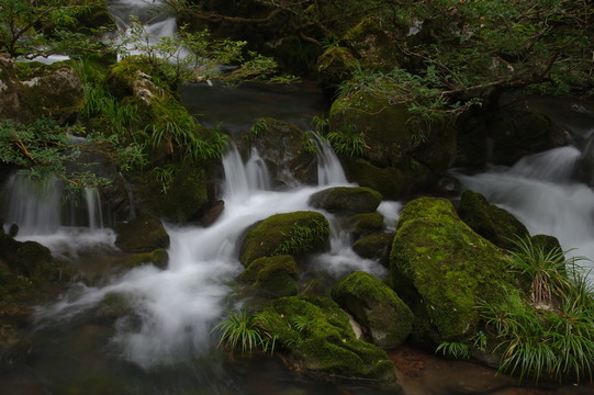 溪水流淌