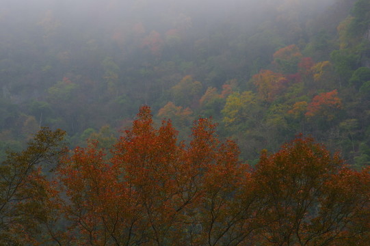 秋天的風(fēng)景