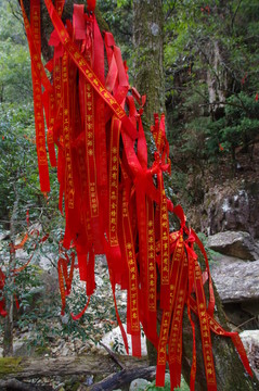 紅絲帶 祈福