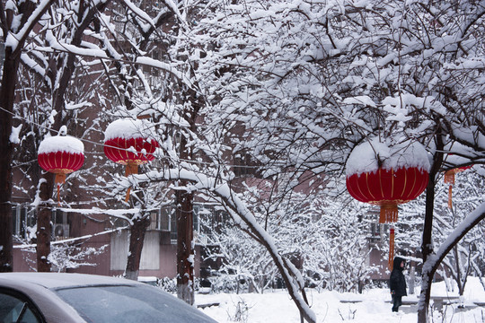 雪打燈