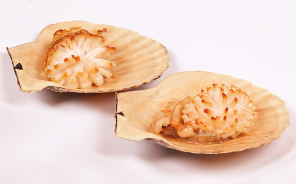 烤夏夷貝 禮盒用圖