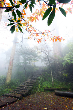 山路