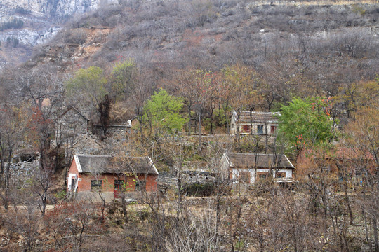 山村