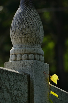 石欄