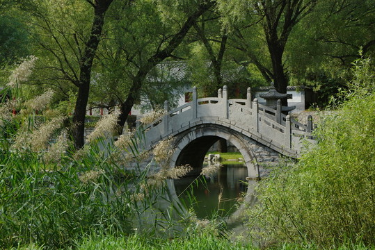 公園小橋
