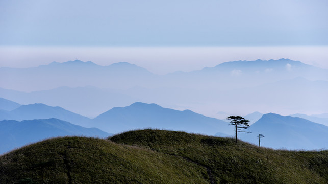 山 孤樹(shù)