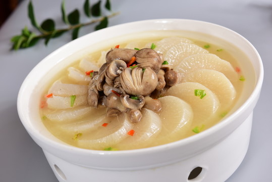 土參蘑菇