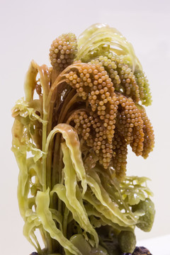 青田石雕 紅高粱 青田石擺件