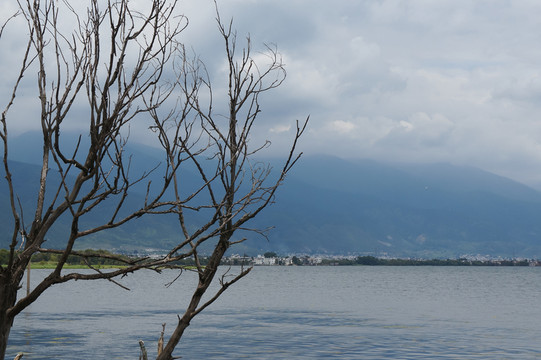 大理洱海風光