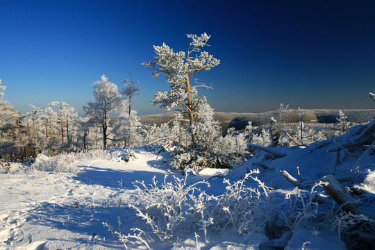 林海雪原