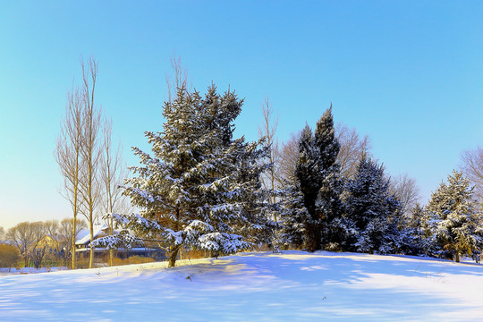 冰雪旅游