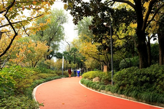 上海天山公園風(fēng)光