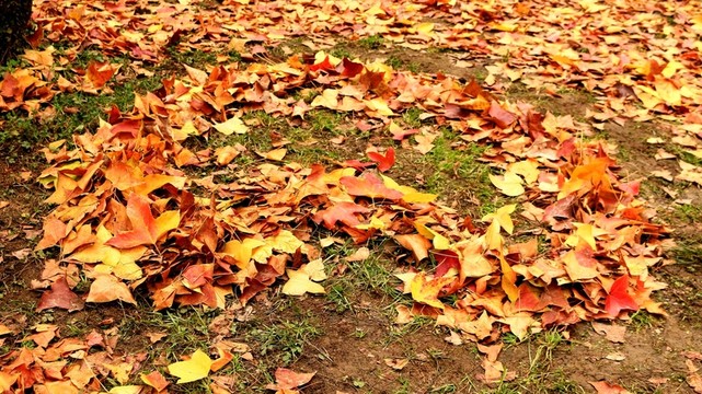 天平山風(fēng)光