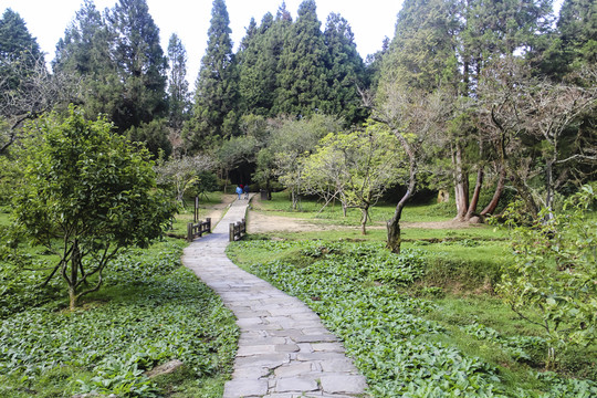公園小路