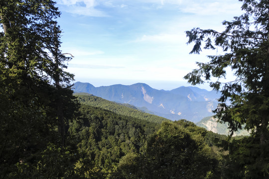 阿里山