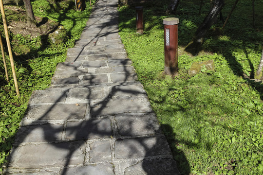 阿里山