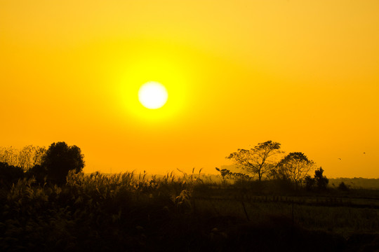 望城大澤湖濕地夕陽(yáng)