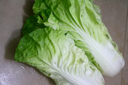 白菜 大白菜