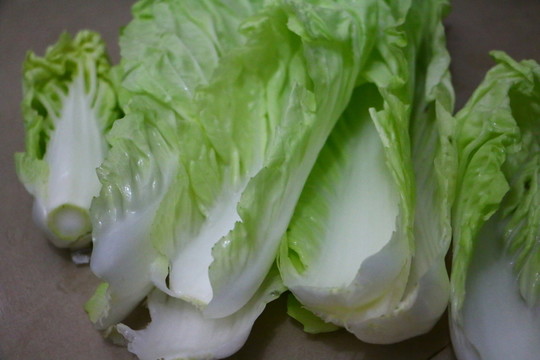 剝落的白菜葉