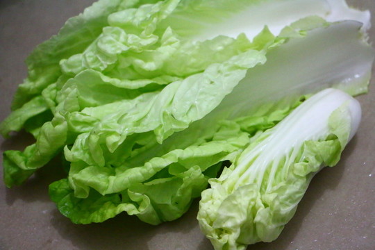 白菜  高菜白菜葉 白菜特
