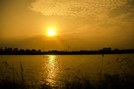 長(zhǎng)沙望城東湖濕地公園日落夕陽(yáng)