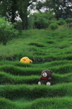 咪咪熊 瞌睡熊 瞇眼熊