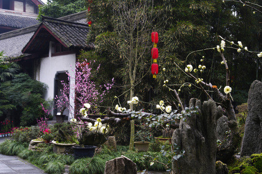 杜甫草堂盆景園