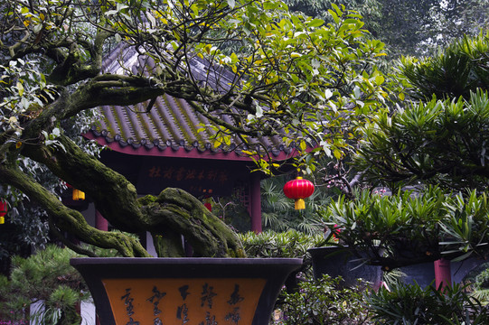 中式盆景