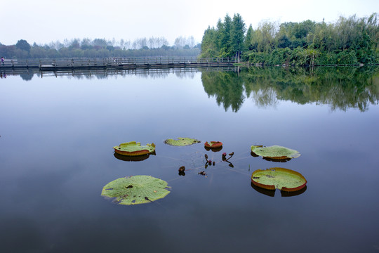 湖