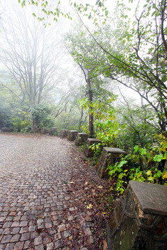 石板路