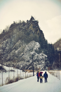 松嶺雪村雪松