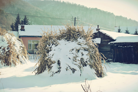 松嶺雪村院落
