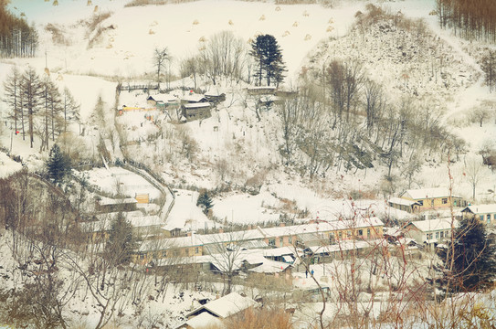 松嶺雪村