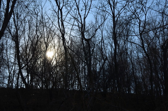 荒廢的公園