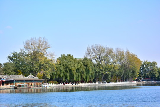 彼岸