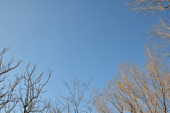 荒廢的公園