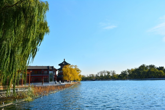 湖邊風光