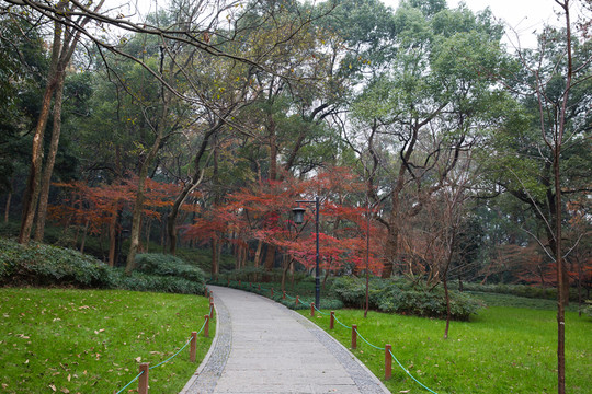 冬季太子灣公園