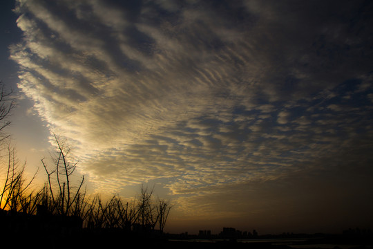 松雅湖夕陽剪影
