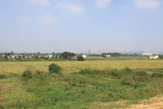 田園風(fēng)光