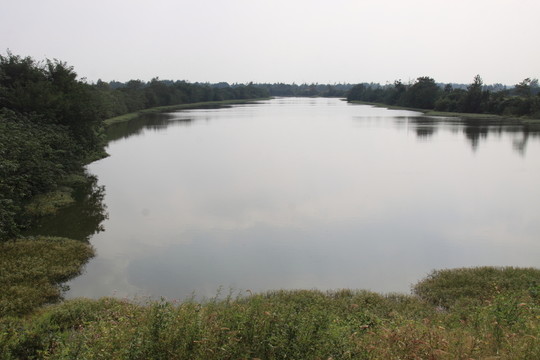 池塘風(fēng)光