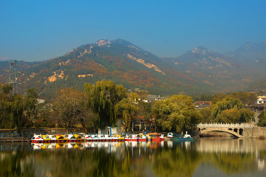泰山 虎山公園