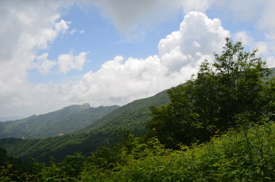 高山白云