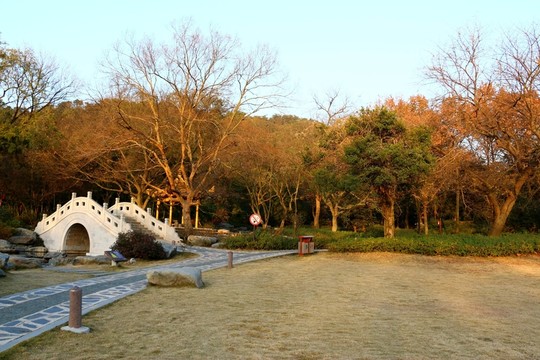 磨山風(fēng)景
