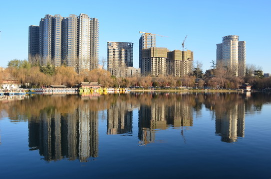 興慶湖鏡像