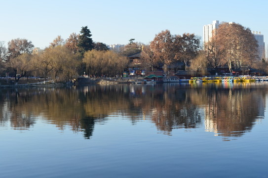 興慶湖美景