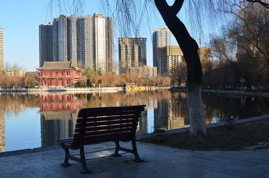 興慶湖美景