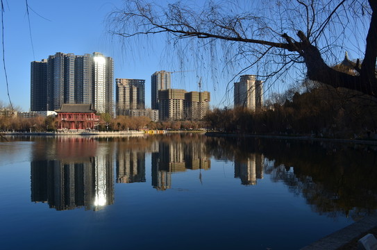 興慶湖鏡像