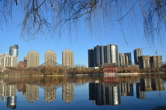 興慶湖美景