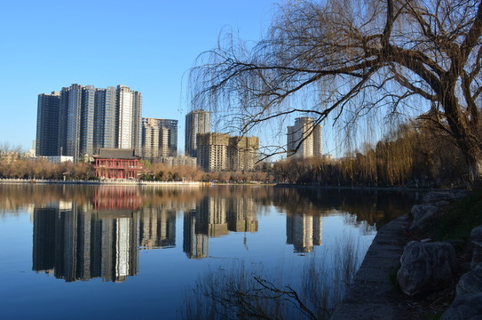 興慶湖美景